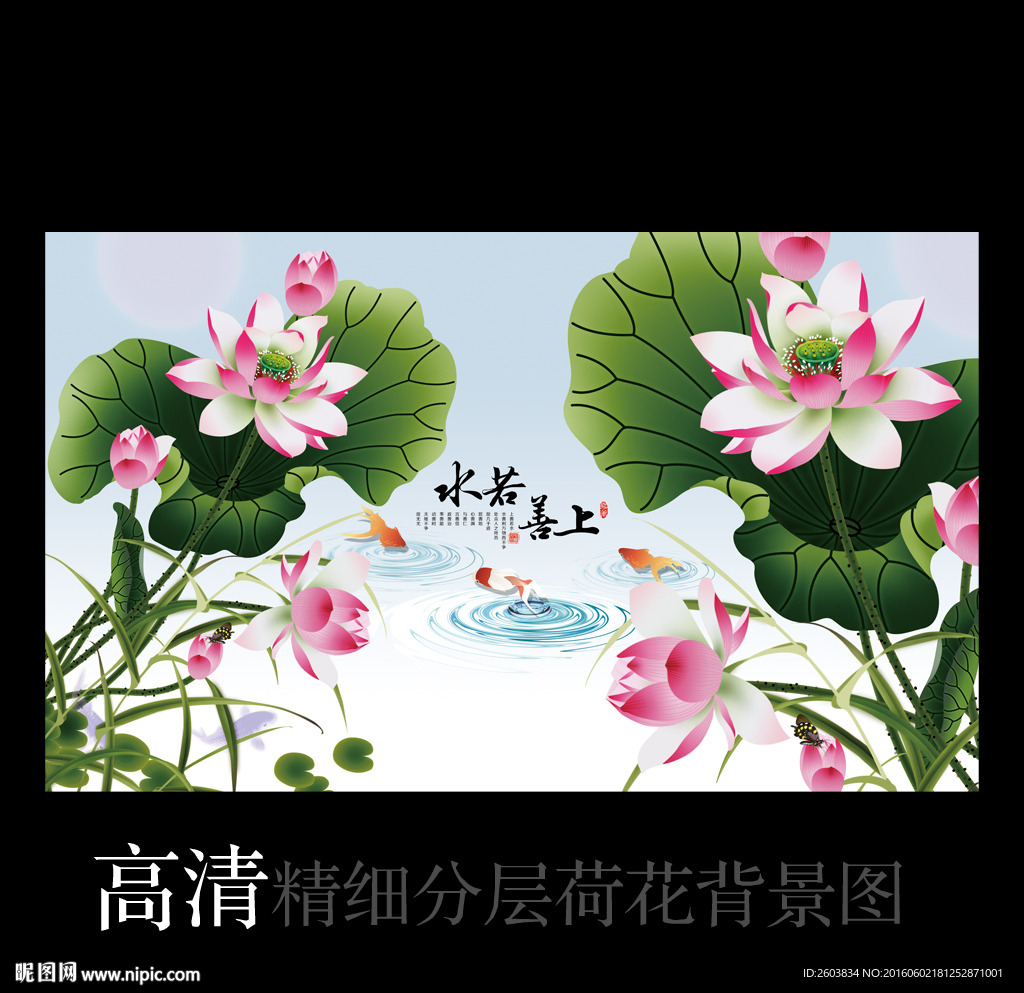 中国风荷花图案背景