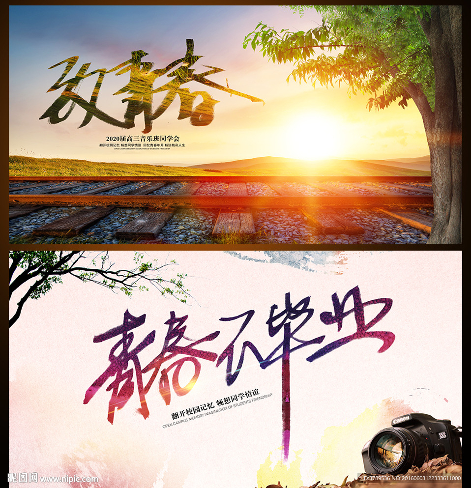 致青春