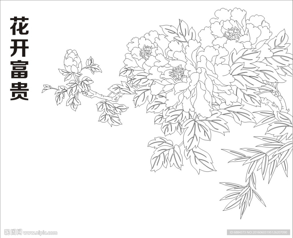 花开富贵 牡丹花