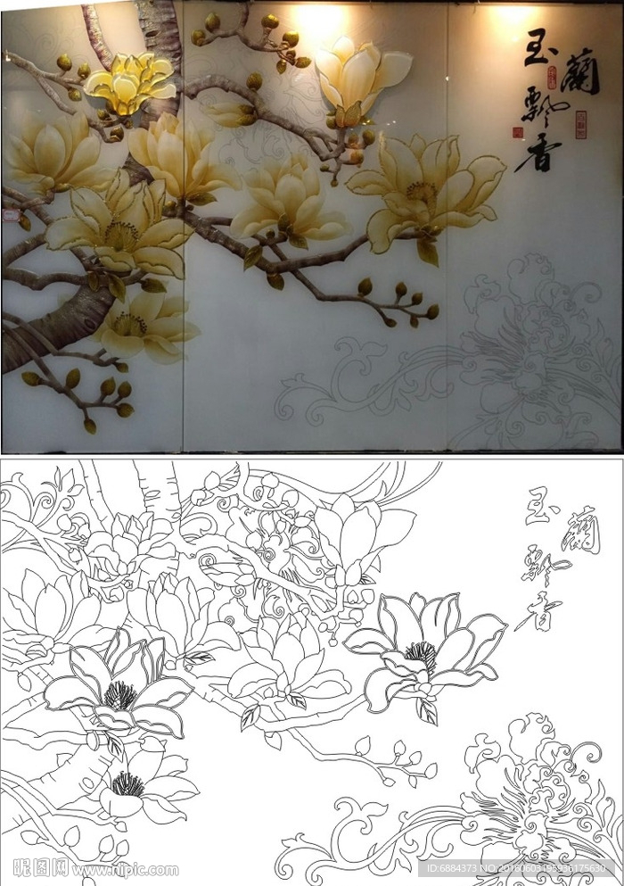玉兰飘香 玉兰花