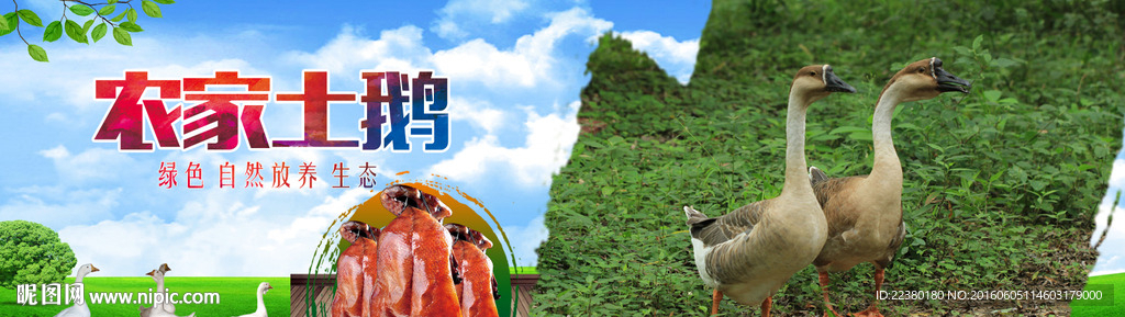 鹅