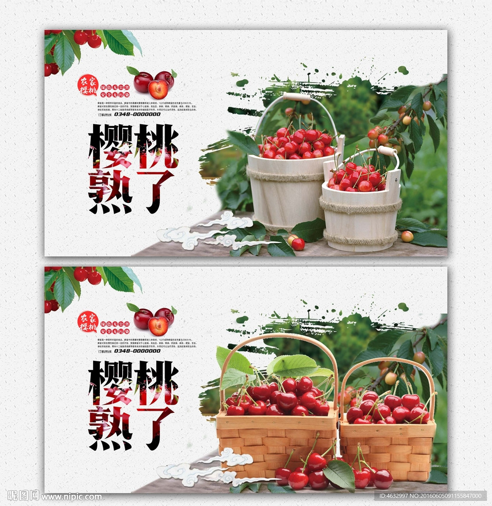 樱桃 采摘园