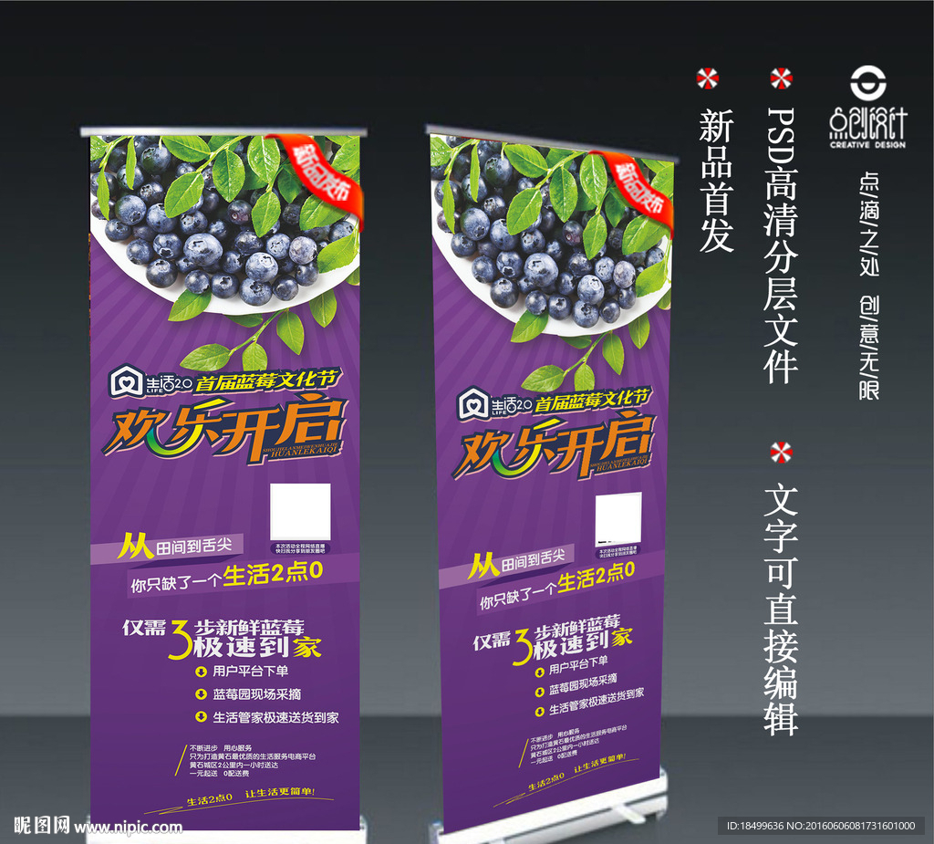 蓝莓美食节展架