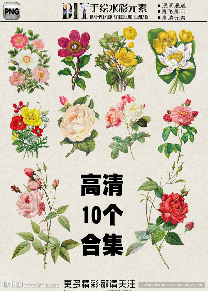 高清手绘花卉花朵图案