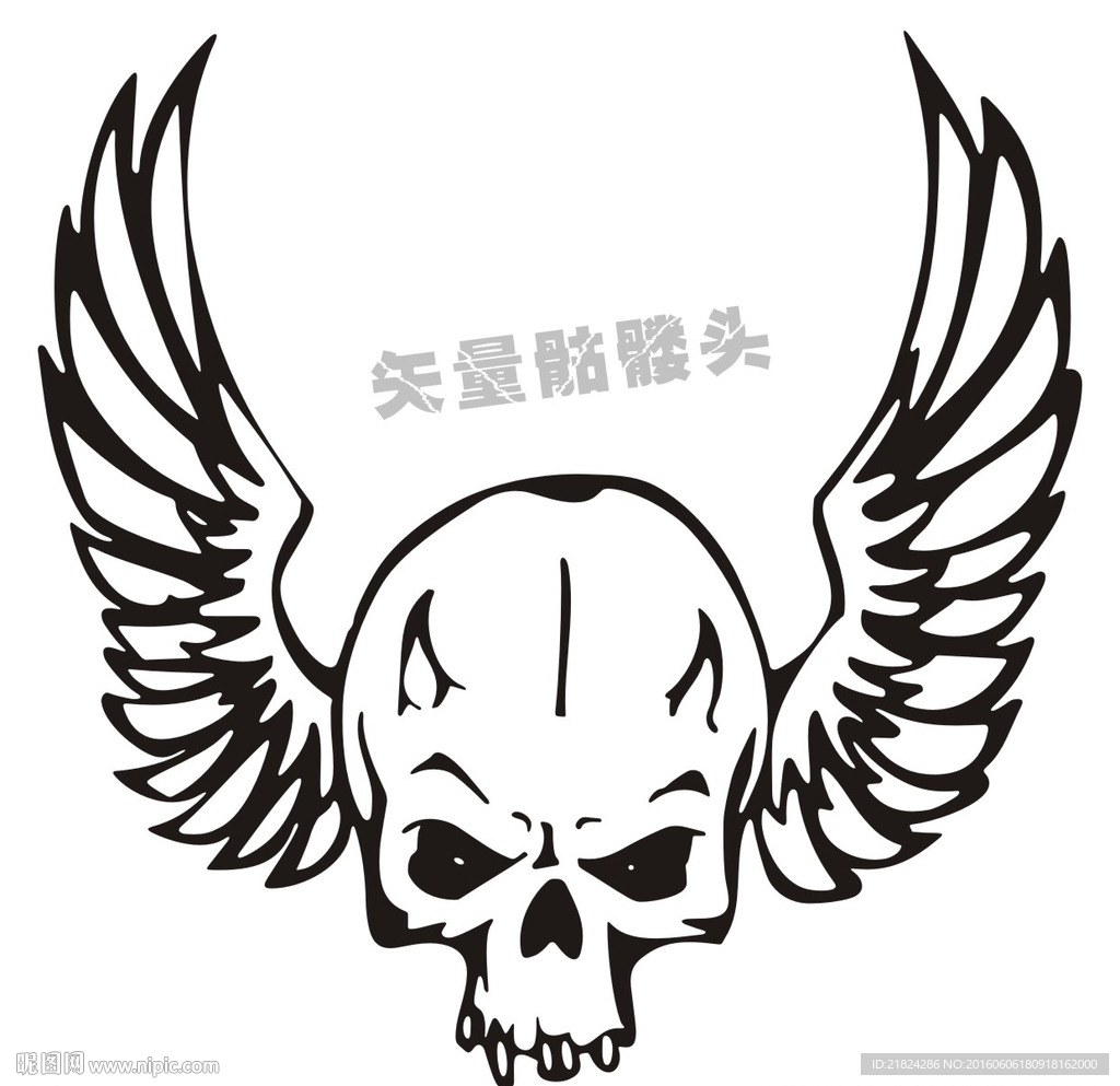 骷髅头