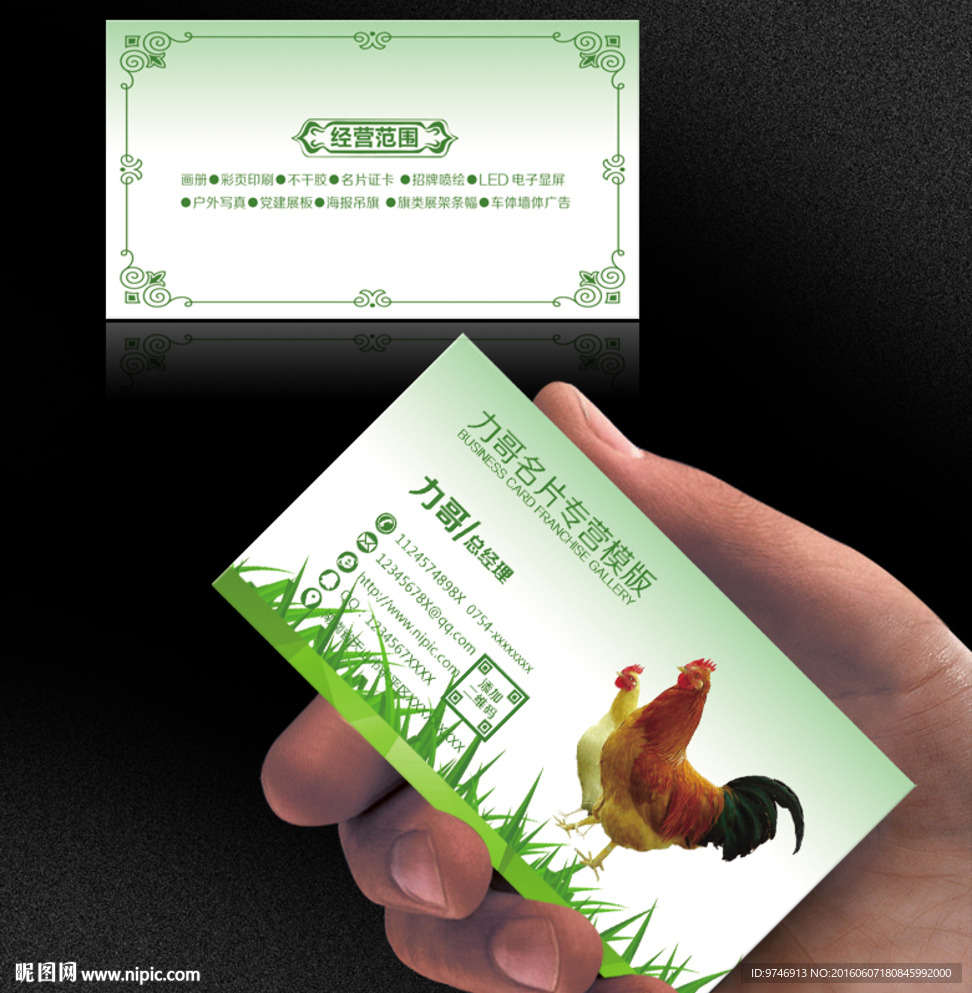 鸡名片