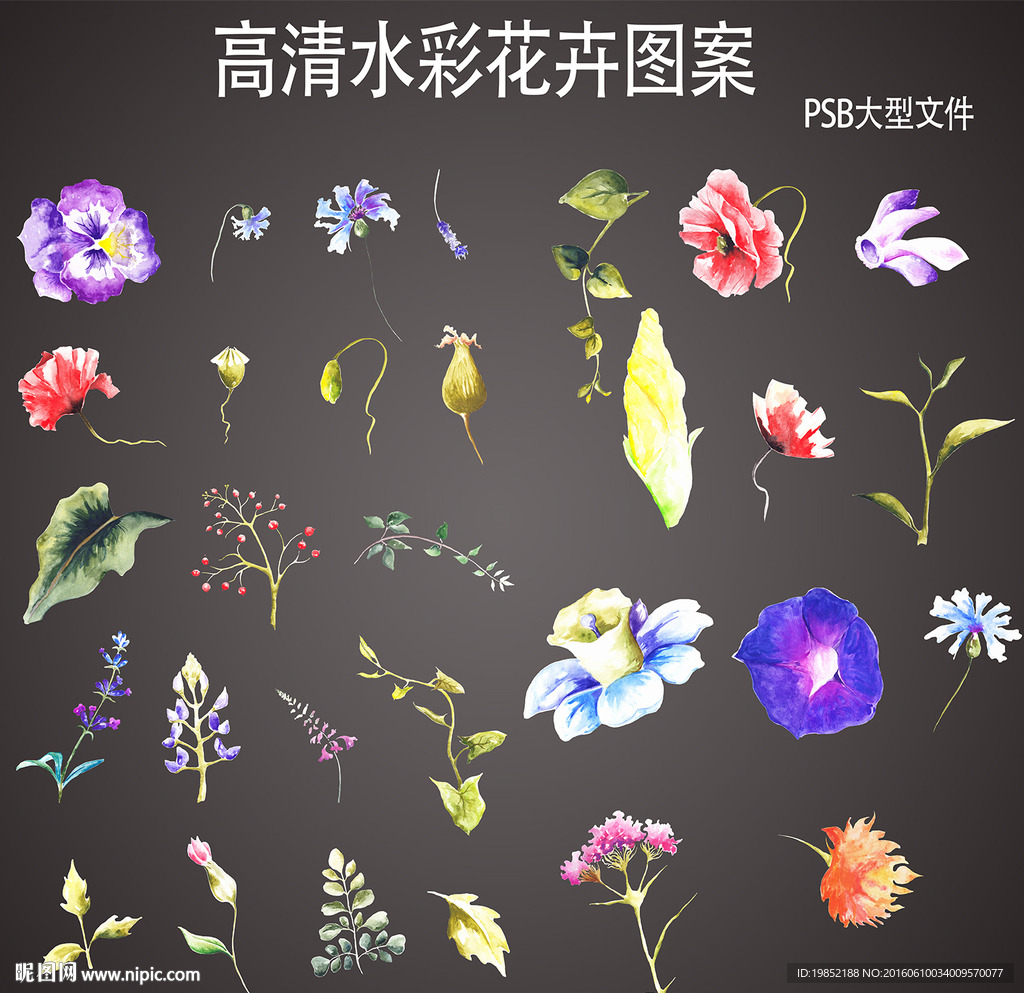 大型高清水彩花卉设计元素