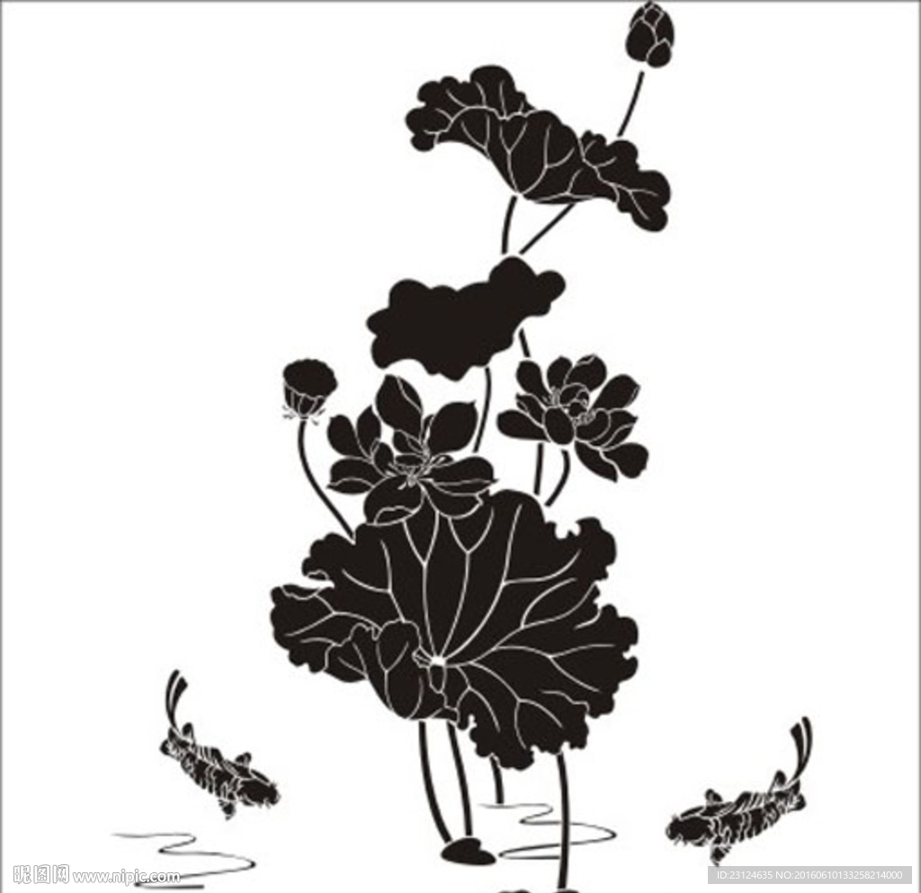 荷花鱼