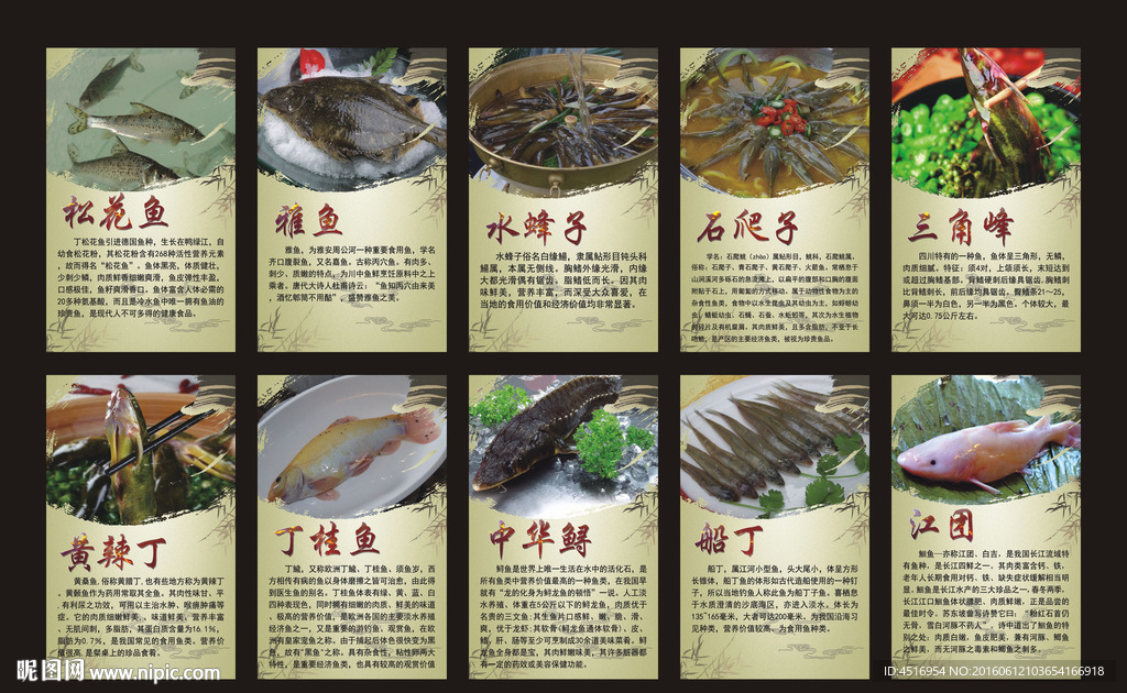 鱼素材