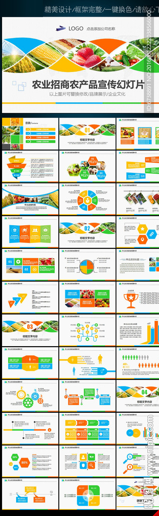 绿色生态农业招商农产品PPT
