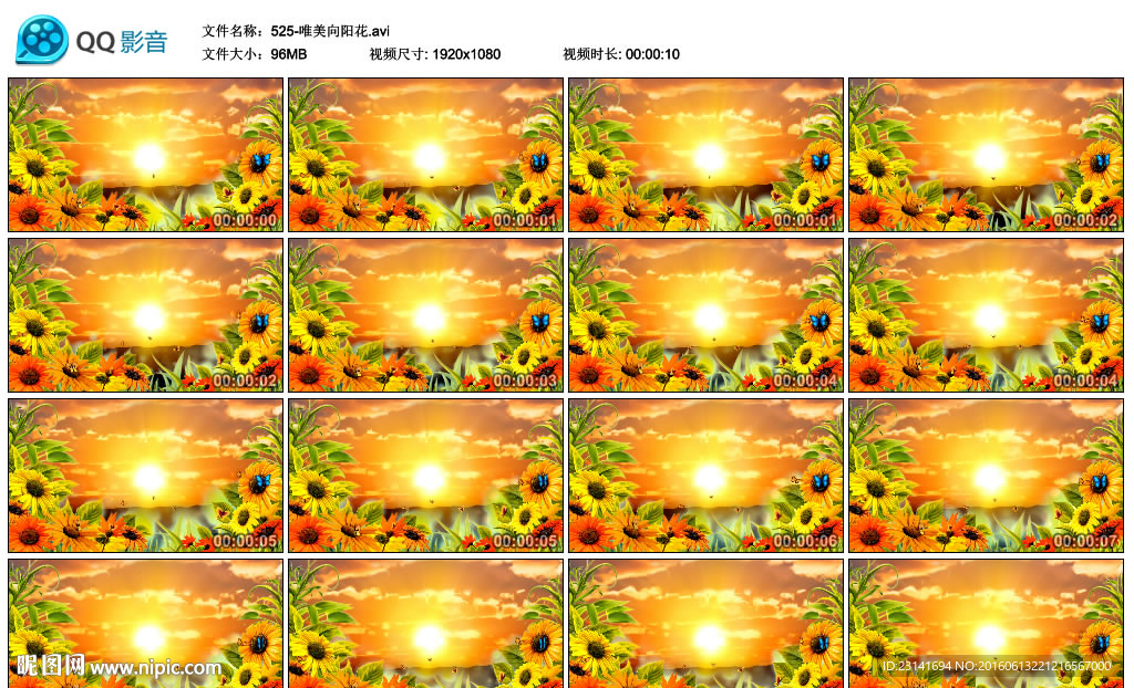 唯美向阳花蝴蝶儿童舞蹈歌曲视频