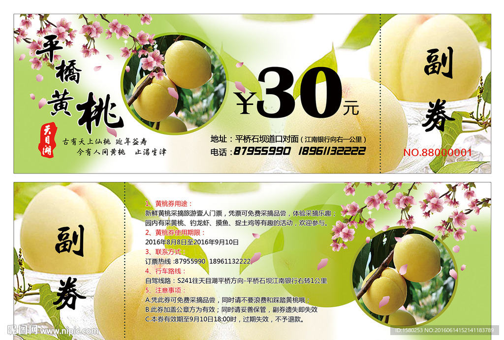 黄桃采摘券