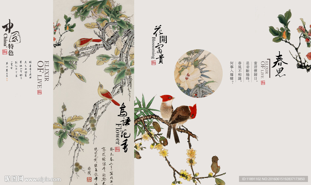 手绘花鸟画