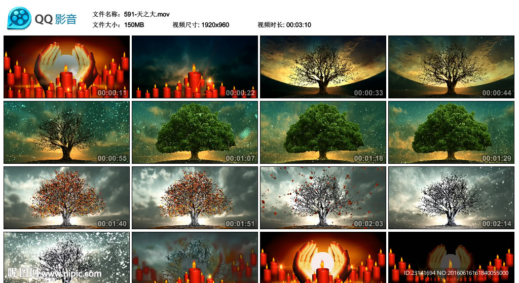 红烛树木四季变化公益广告素材