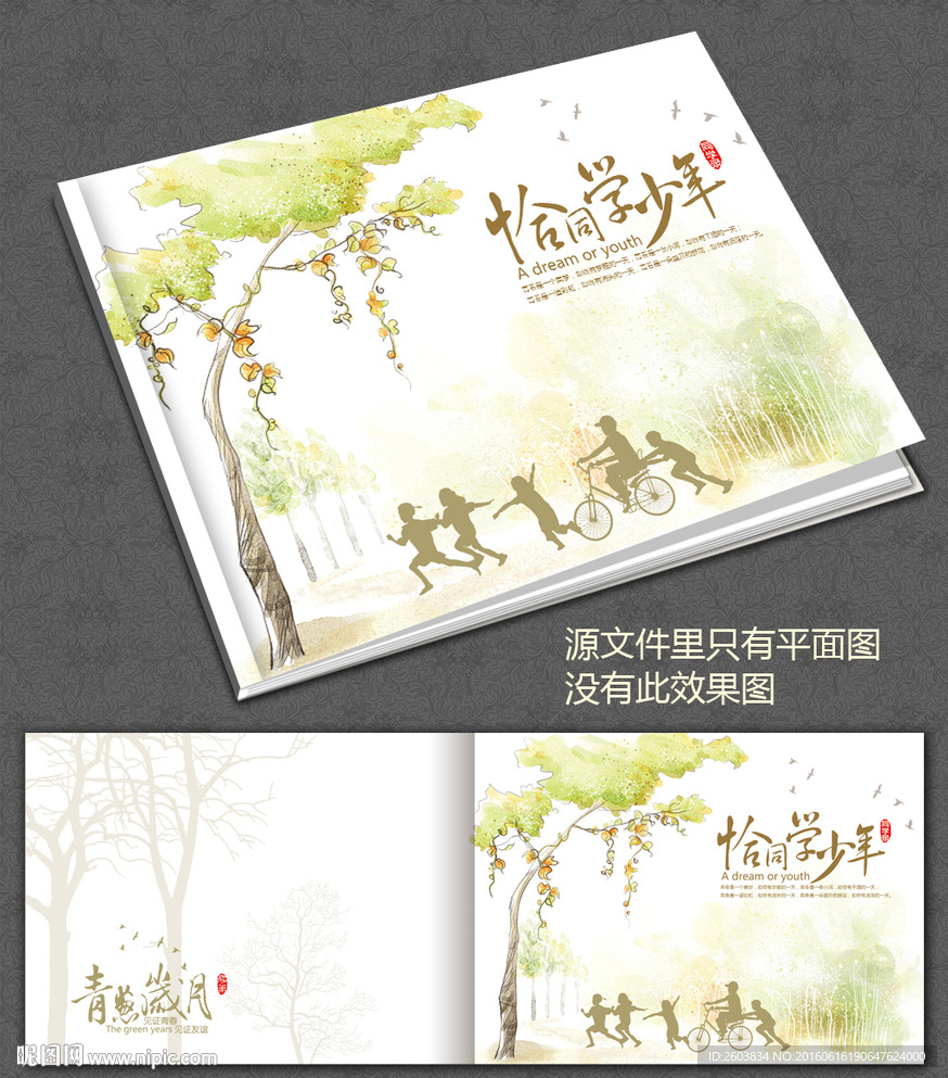 恰同学少年同学录封面