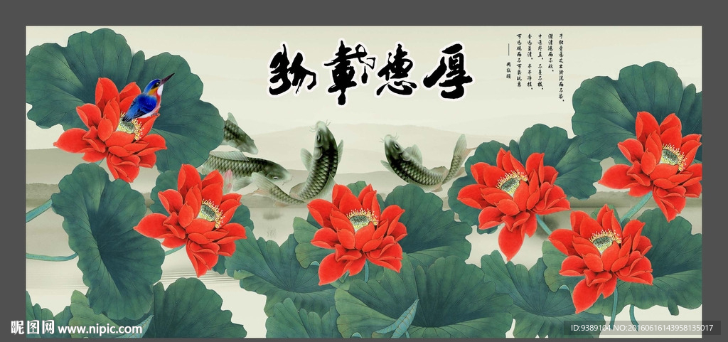 荷花