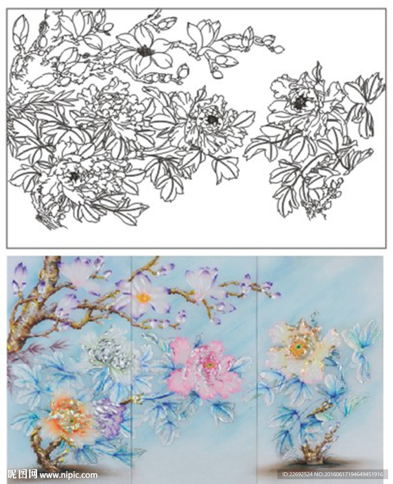 牡丹花