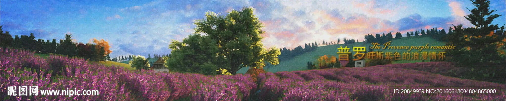 薰衣草油画场景