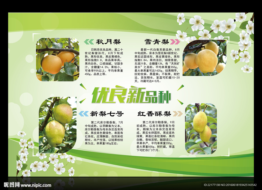 梨产业园区梨品种宣传海报