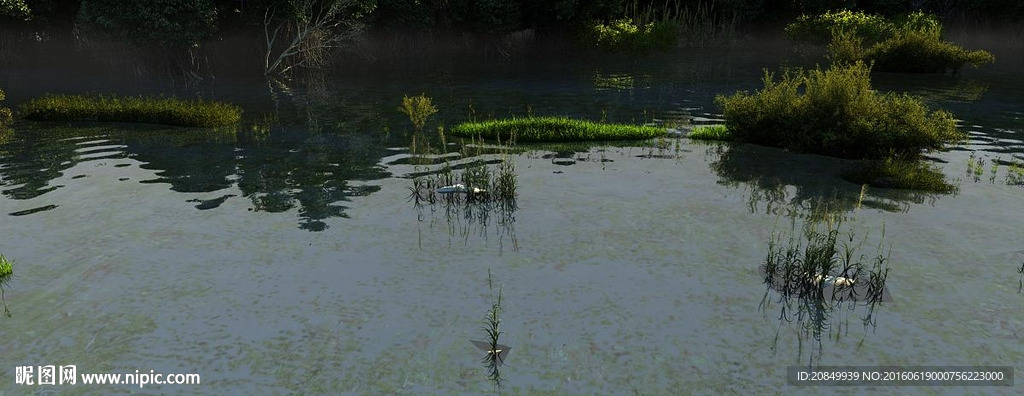 鸟飞过湖面动画场景