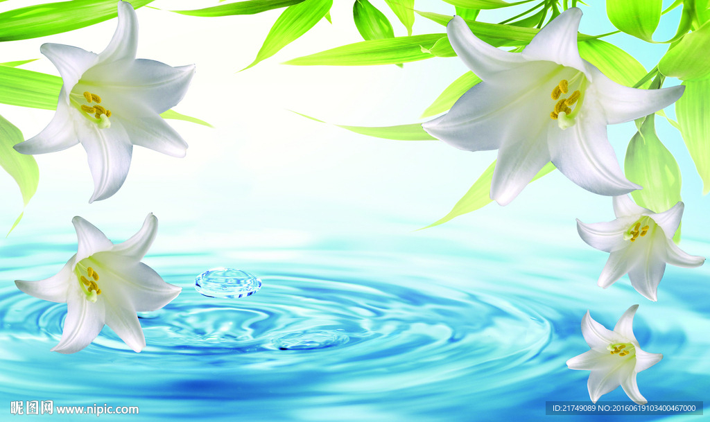 水珠百合背景墙