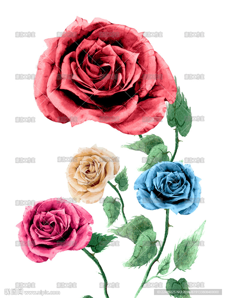 水彩花（高清分层图）