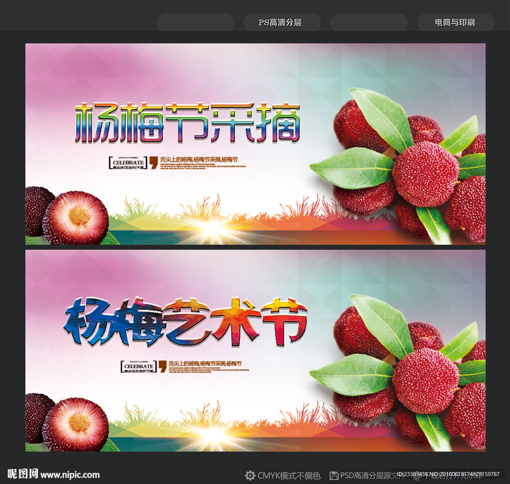 杨梅节