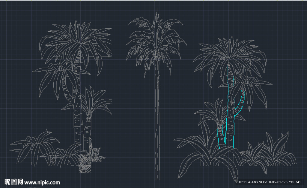 cad椰子树 椰子树植物 绿植