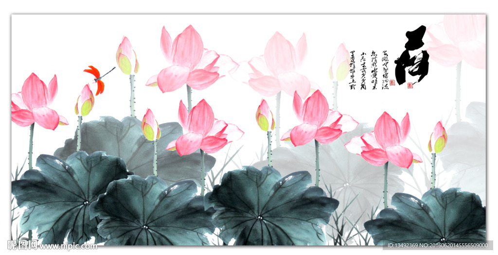 荷花