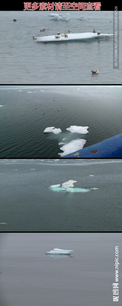 海面浮冰高清实拍视频素材
