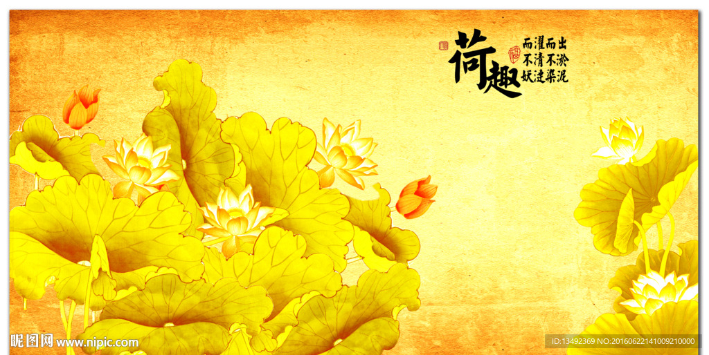 荷花 国画