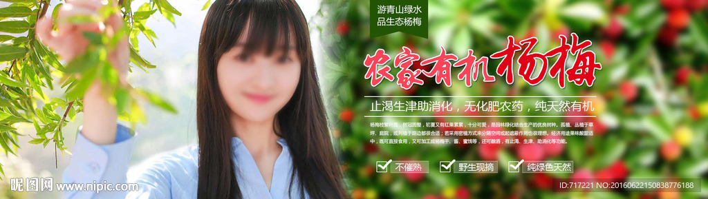 野生杨梅全屏海报