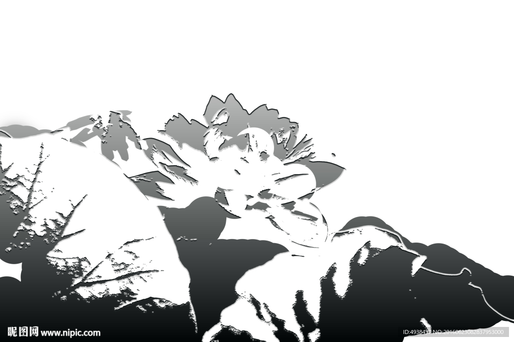 荷花底图  背景素材