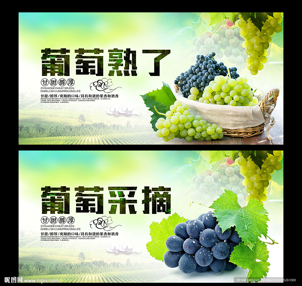 葡萄