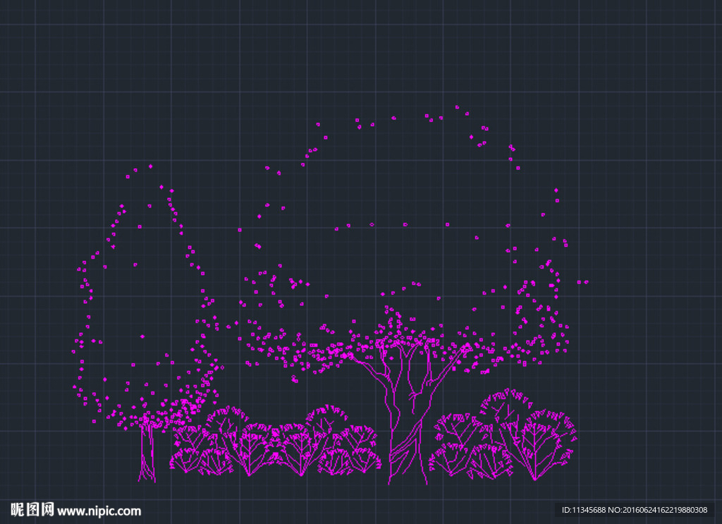 樱花树丛 CAD