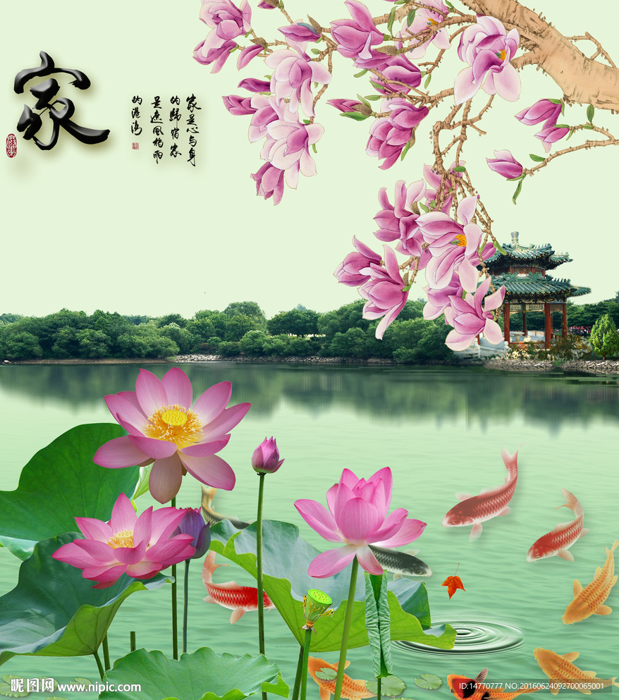 荷花花鸟