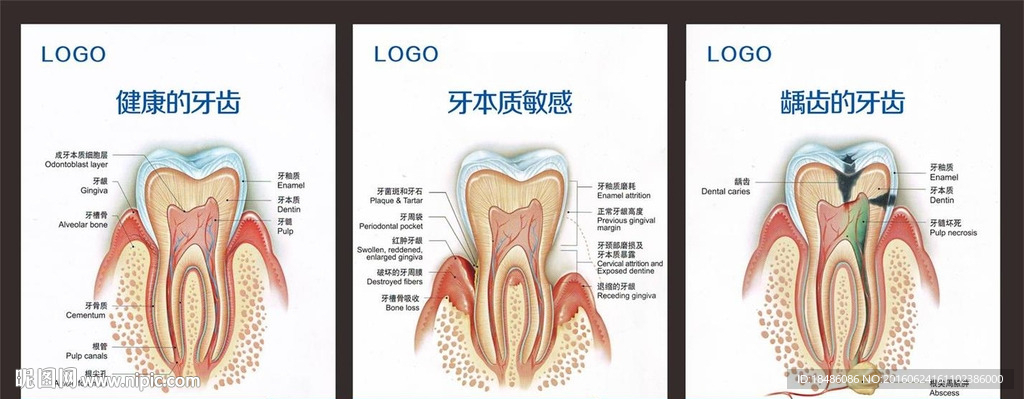 牙齿健康
