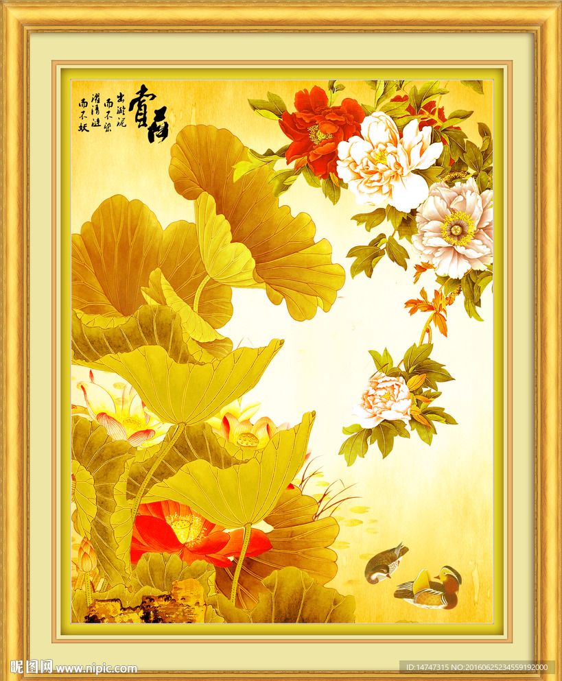 荷花
