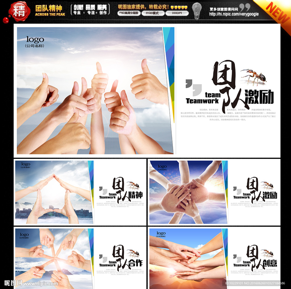 团队