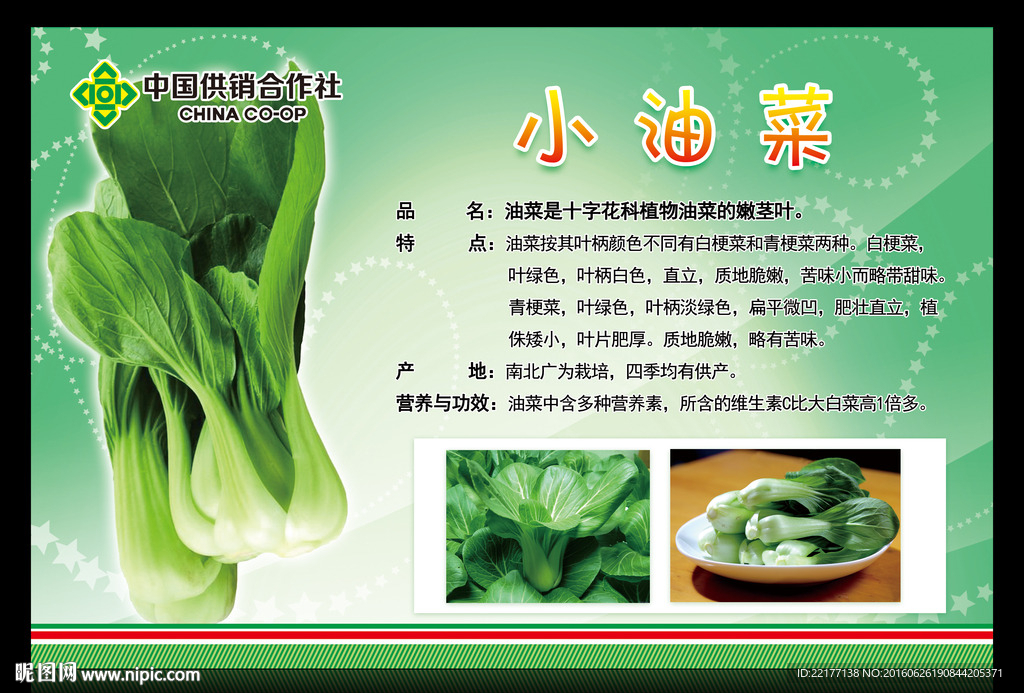 中国供销合作社—— 小油菜