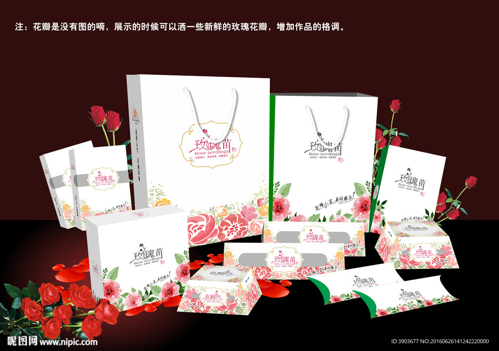 玫瑰苗 展开图效果图 系列包装
