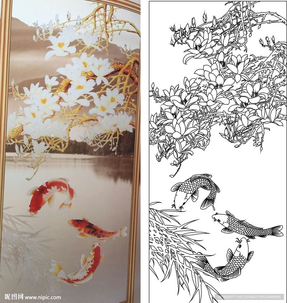 玉兰鱼