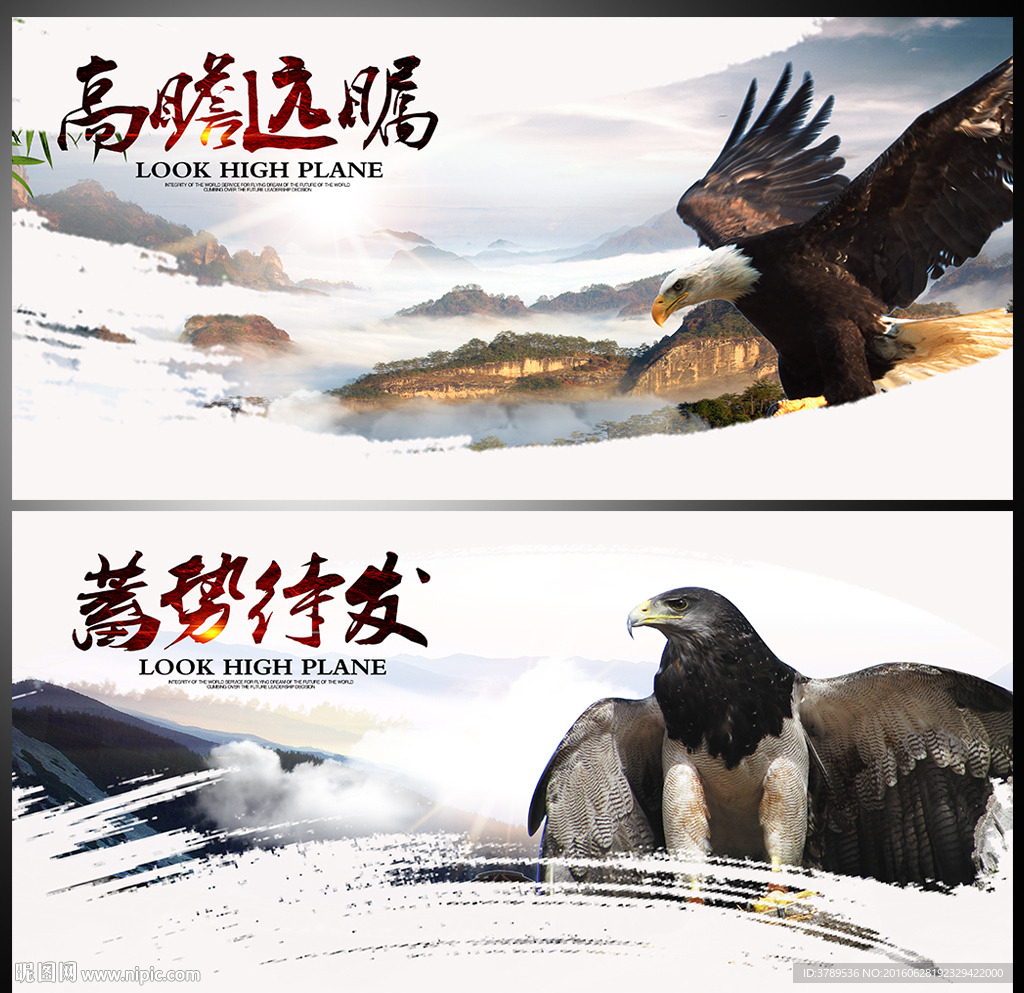 公司文化