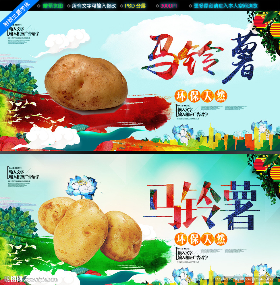 马铃薯