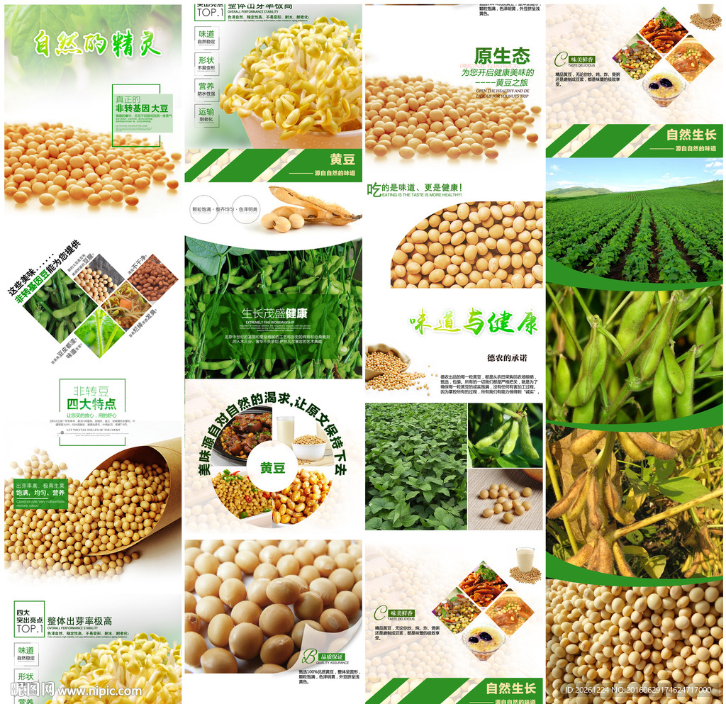 高端大气大豆通用详情页
