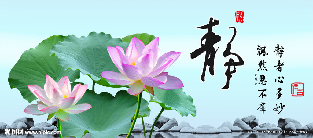 荷花