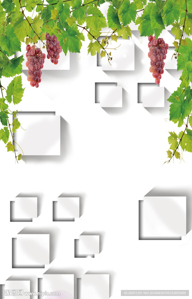 3d玄关葡萄