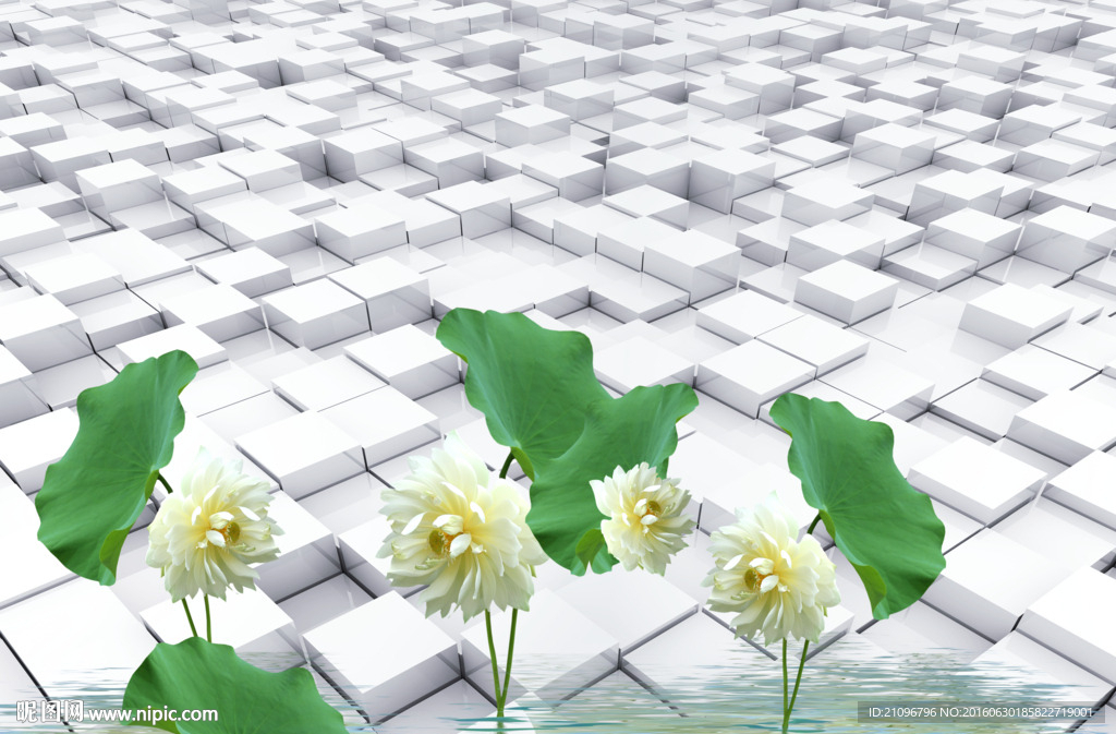3d背景墙荷花