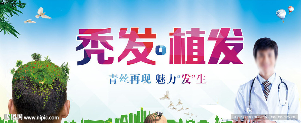 秃头 植发