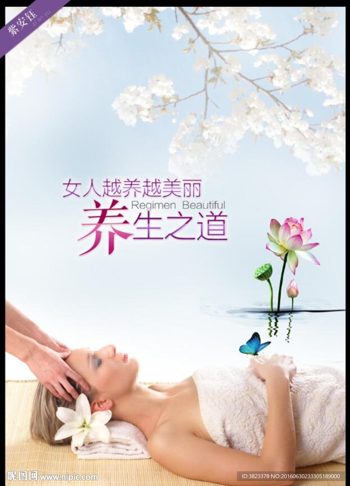 美容养生